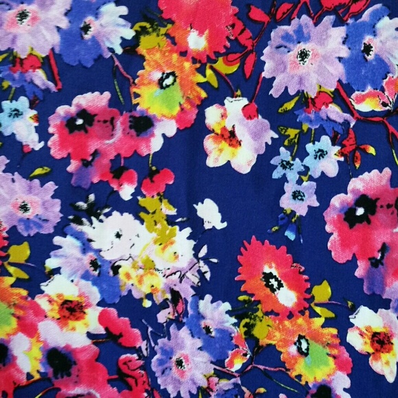 Meet your Posher, Abby - Picture 1 of 1